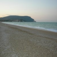 Paola Catania (@avvpaolacatania) 's Twitter Profile Photo