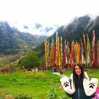 Emily Kate Tucker (@emilykatetucker) 's Twitter Profile