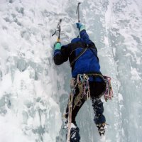 @shorthand (@brucethompson45) 's Twitter Profile