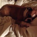 Emily Selby - @zouselby - Twitter