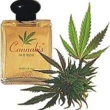 Fumador de élite. Solo verde, opto por lo natural. Los mejores tweets se leen fumao. 24/7, 365. Ganjahman style