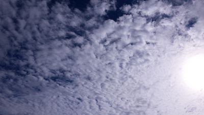 jorditovidal's profile picture. 