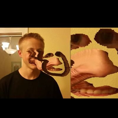 tweeterpetr's profile picture. PHS class of 2016 Professional badass motherfucker/ hacker/pro runescaper/ rapper/gambler/graffiti artist/cunt smasher/used to poop in the catbox