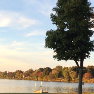 Full Stack Web Application Developer in the Boston Area.