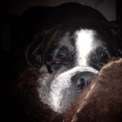 nadalejon's profile picture. 