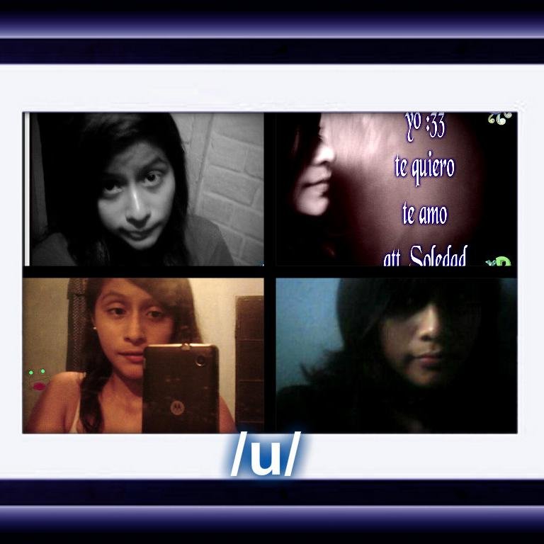 OsPanditas's profile picture. 