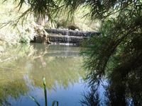 acasanovadv1's profile picture. Amante del boxeo y de MMA