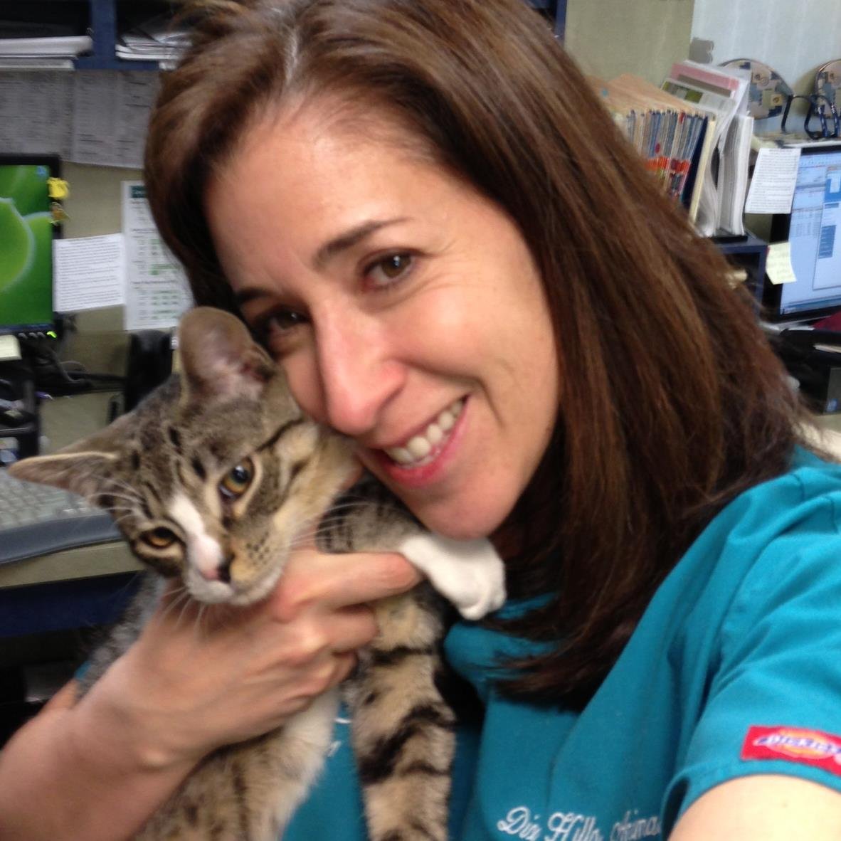 DixHillsAnimal's profile picture. It is our mission at Dix Hills Animal Hospital, to bond with our clients and provide the finest veterinary care available for their pets.
