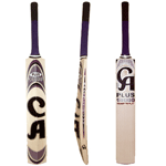 Cricket fan, internet marketing, home improvements, environment.