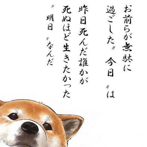 皆様へ、今、旬な商品を中心に紹介していくbotです、このアカウントは、今話題の次世代ツールで運用しています、最初に簡単な設定をするだけで、後はツールが全自動でやってくれちゃうスグレモノなのです！しかも超ハイスペックなのに、なんと”無料”なんです！⇓から持って行っちゃって下さいね！！