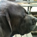 Levi Ray - @BigSwissVIKING - Twitter