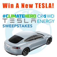 Win My Ass A Tesla (@winmyassatesla) 's Twitter Profile