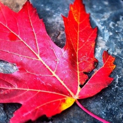 Mahamed1990Moe's profile picture. 