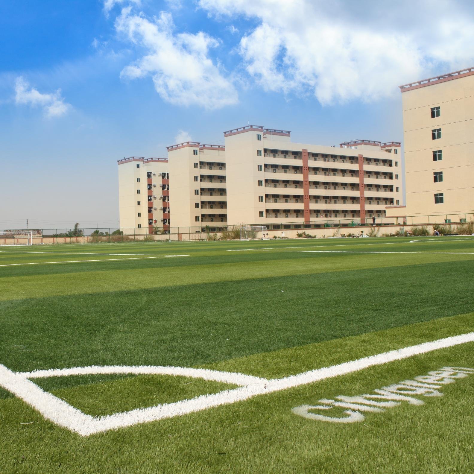 CitygreenKenny's profile picture. 