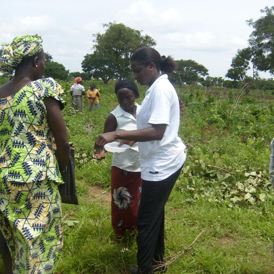 We are a grassroots nonprofit organization that promotes constructive environmental ideals by empowering women to become environmental stewards & peacebuilders.