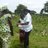 WiseNigeria's profile image