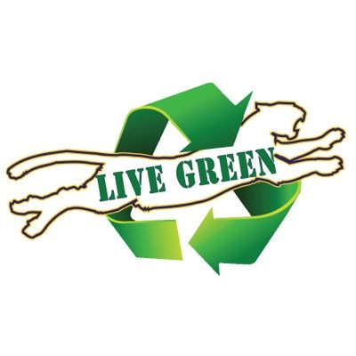 #greenjags