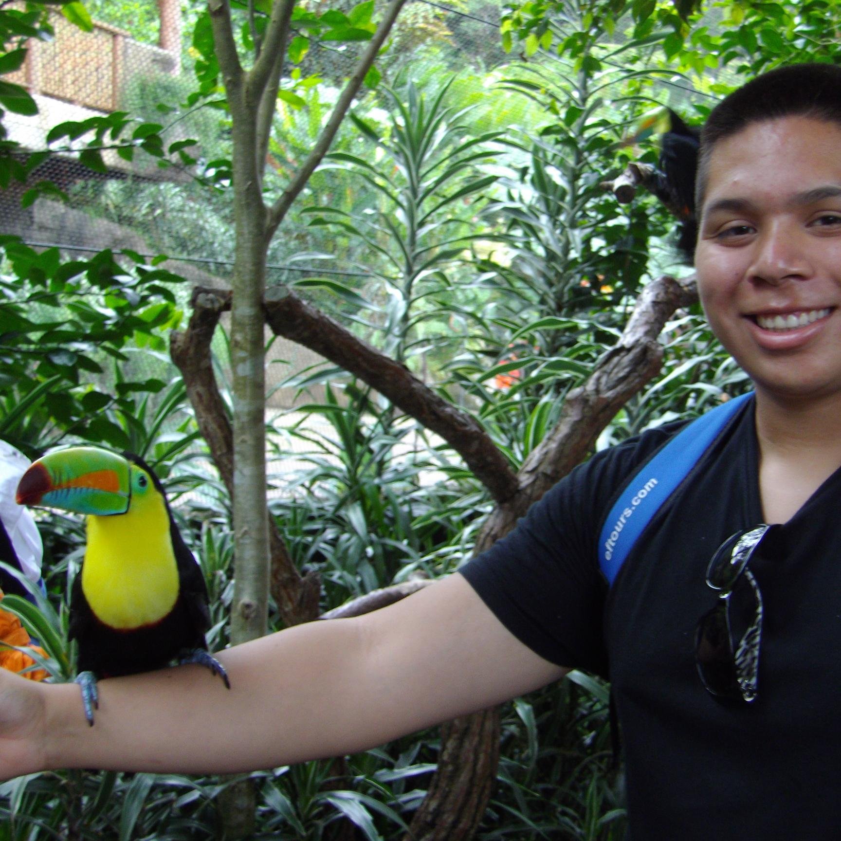 MFlovino's profile picture. 