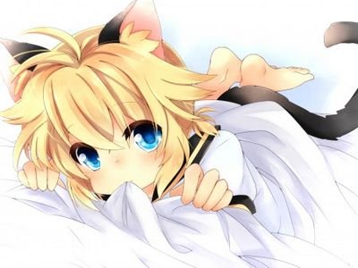 neko len...gaybae: @cielrper..SEnPai @ciel_booty... All teh pockys.??? pet my corn oi!!!!!