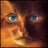 leon1das_mag's profile image