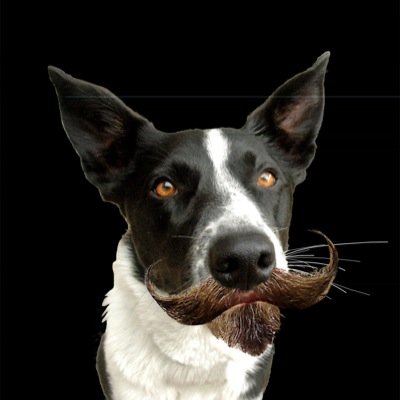 byebyekerry's profile picture. atheist