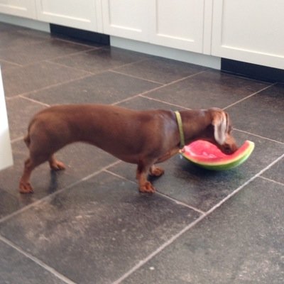 Raysfan_85's profile picture. 