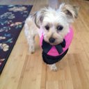 Catherine Austin - @autigercat81 - Twitter