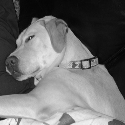 CgscGaheld's profile picture. 