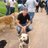 tmcintyre889's profile image