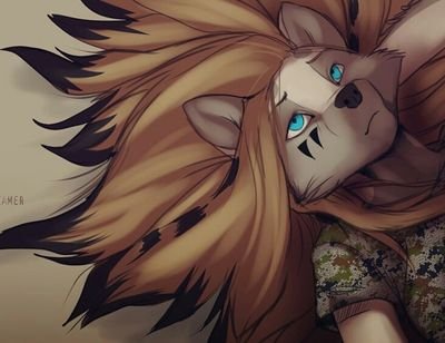 Koul Fardreamerさんのプロフィール画像