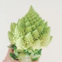 Joy Yang - @j0yy4n9 - Twitter