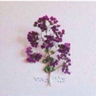 ‏[ﯾٱرب رضٱك وَ ٱﻟجنہ ]