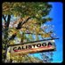 𝕏 Peter Stetson 𝕏 (@calistoga) Twitter profile photo