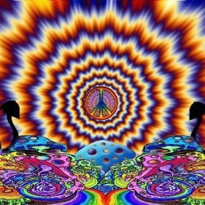 | EDM Lyrics | Fun Facts & More |