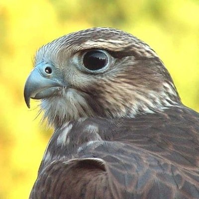 aaasssrrr111's profile picture. 