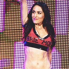 This Bella is determined to fight against all odds through anything. Her physique and grace in the ring are best described by Brie Mode. [Not @BellaTwins.]