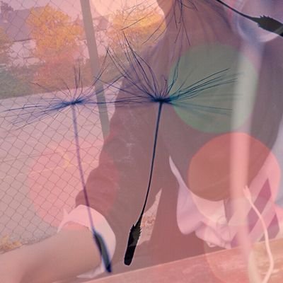 amanehaiba1's profile picture. bea is shawn mendes