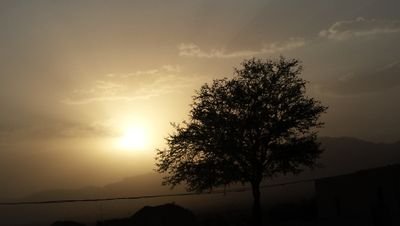 jowrak's profile picture. 