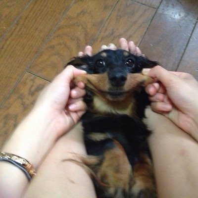 コブクロ大好きです