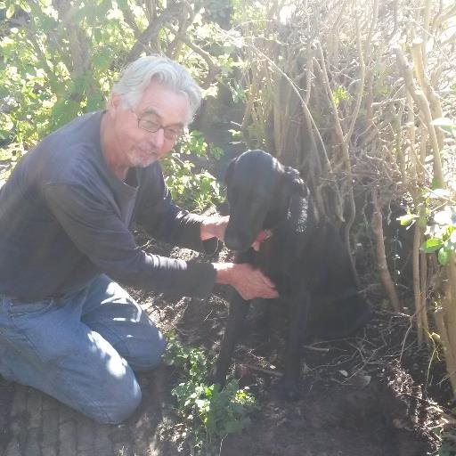 jank1954's profile picture. 