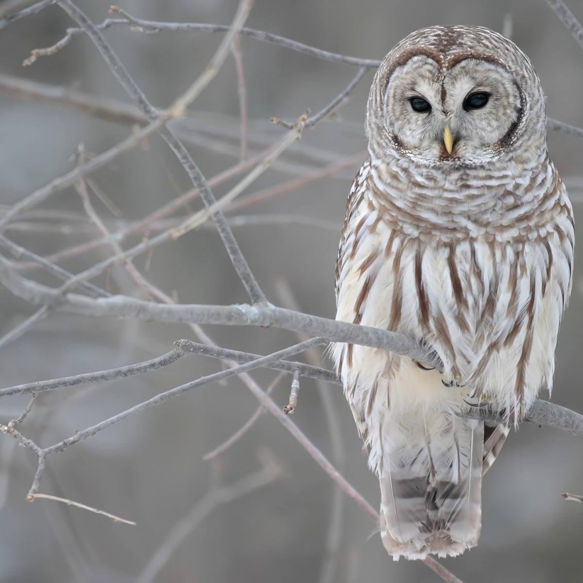 bjthomasjesus's profile picture. Follower of Jesus.  Amen.