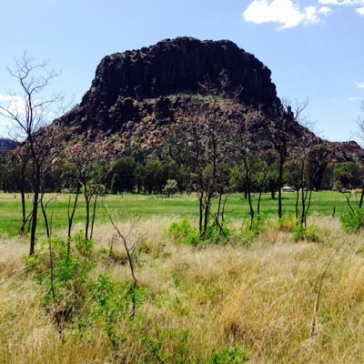 waydownnOZ's profile picture. 