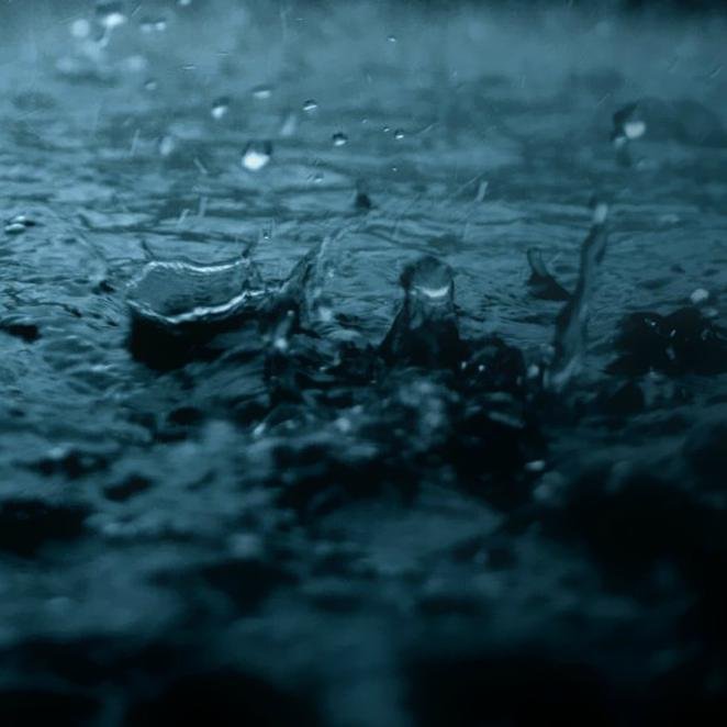 procodr's profile picture. UI/UX Designer, Frontend Developer & WordPress Lover!!