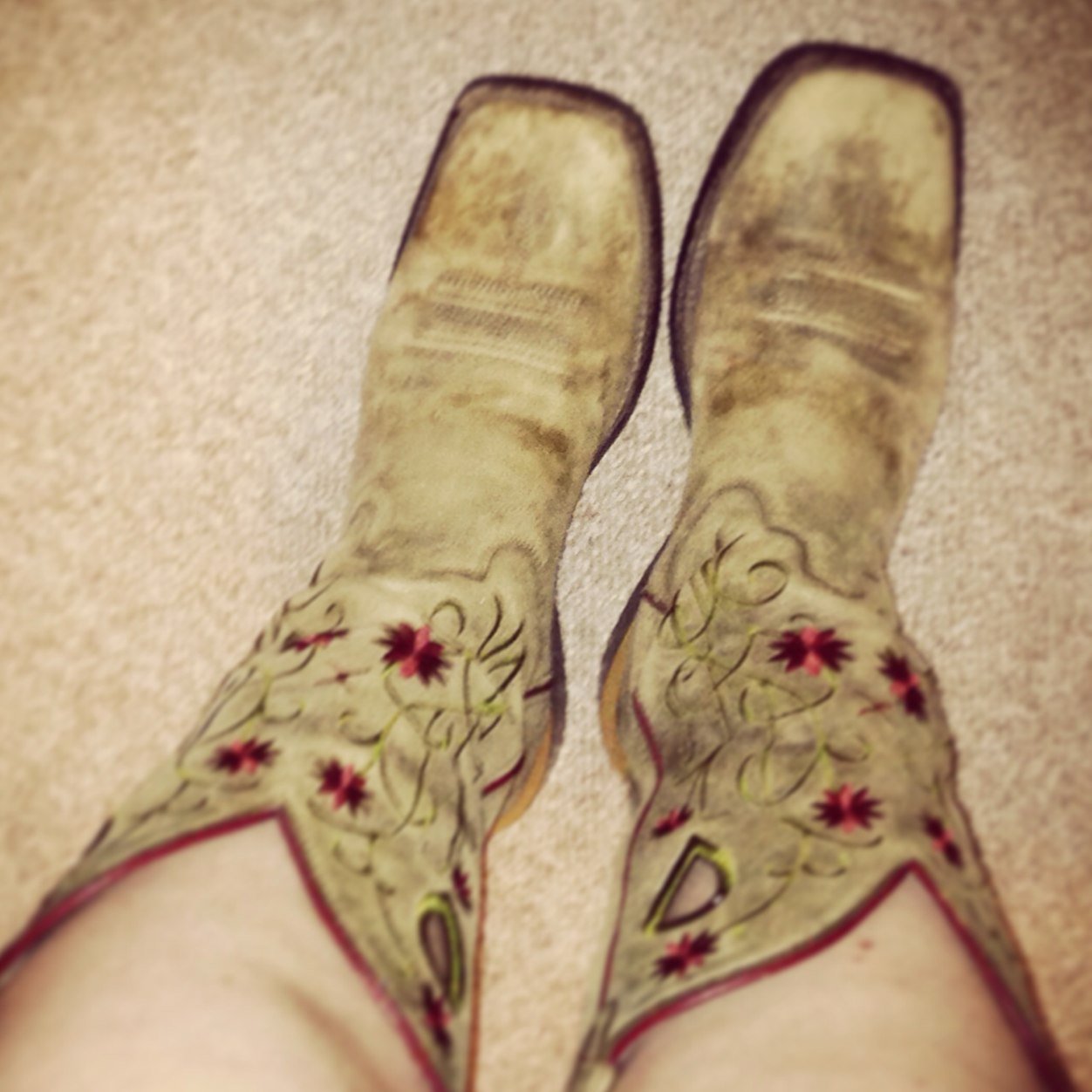 bourke_h's profile picture. 