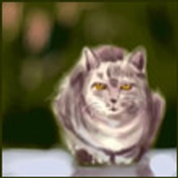 0 (@cavylohecik) 's Twitter Profile