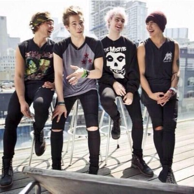 Hi, we're 2 girls who love 5 seconds of summer more than you do 卌 0/4 :(