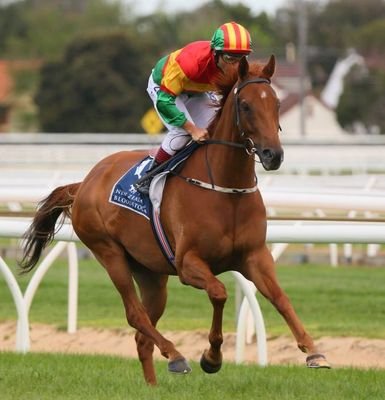 HappyTrails_Roy's profile picture. 