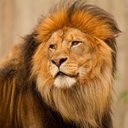 Kai Schmitz - @B_Butterfly_B - Twitter