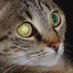 Christian (@max_fireblade) Twitter profile photo Christian (@max_fireblade) Twitter profile photo