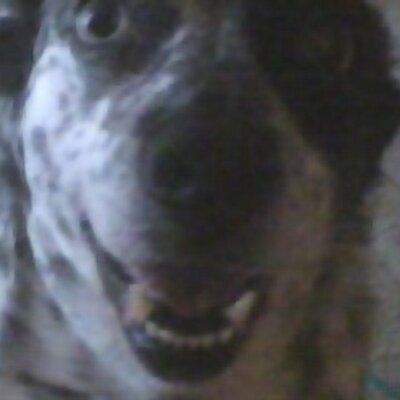 MSCHERRYTWO's profile image